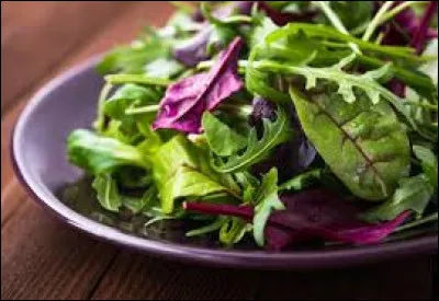 Quel est le nom de cette salade, composée d'un mélange de jeunes pousses et de feuilles ?