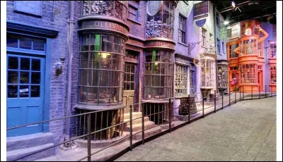 Sur le chemin de Traverse, quel magasin aimerais-tu aller voir en premier ?