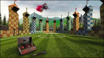 Quel poste prendrais-tu au quidditch ?