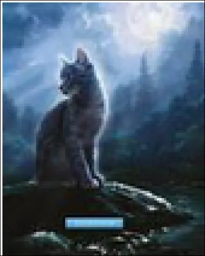 Ta sur, Petite Lune, est morte à cause de toi. Que fais-tu ?