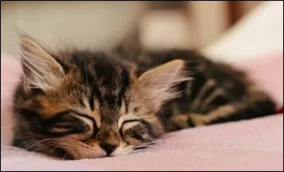 Tu es nommé guerrier. Quelle est ta réaction ?