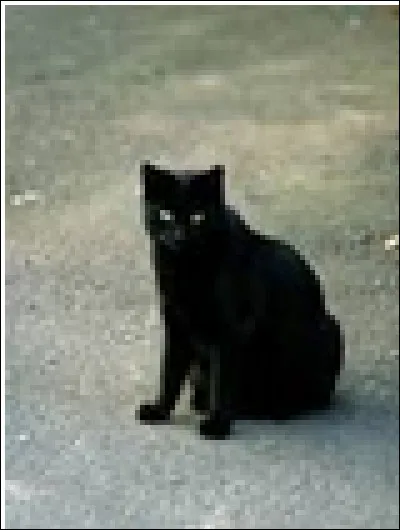 Et avant de mourir, que dis-tu à tes proches ?