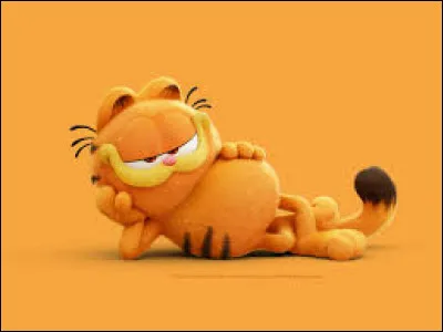 Quel jour ce chat n'aime-t-il pas ?