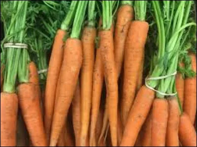 Qui a &eacute;crit "Poil de Carotte" ?