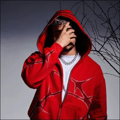 Quel objet a-t-il laissé à Paris avant de partir pour l'Everest ?