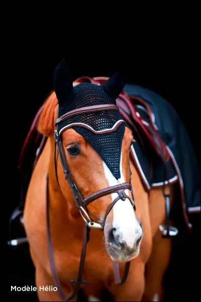 Quelle est la robe de ce cheval ?