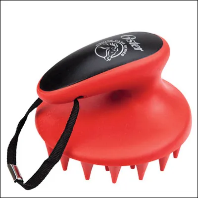 Quel est le nom de cette brosse ?