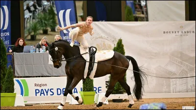 Quelle est cette discipline ?