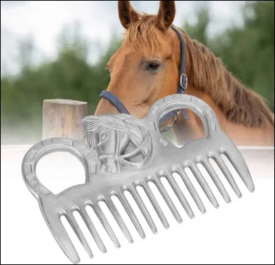 Quel est le nom de cette brosse ?