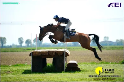 Quelle est cette race ?