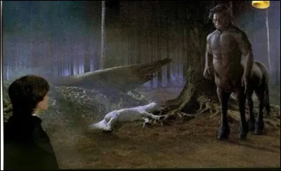 Quel est le nom du centaure présent dans "Harry Potter" ?