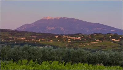 Le Mont Ventoux, surnomm&eacute; le "g&eacute;ant de Provence" ou le "mont Chauve", est le plus haut sommet du Vaucluse : quelle est son altitude ?