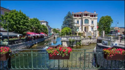 Quelle est cette ville de 20 000 habitants, travers&eacute;e par de multiples bras et canaux et surnomm&eacute;e "Venise comtadine" ?