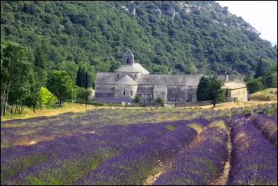 Quel est cette abbaye cistercienne du XIIe si&egrave;cle situ&eacute;e au centre du d&eacute;partement sur la commune de Gordes ?