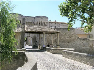Quel est cette ville de 10 000 habitants, travers&eacute;e par la Nesque, connue pour ses fontaines aliment&eacute;es par plusieurs sources et cours d'eau ?
