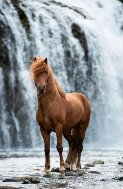 Cette artiste a commencé sa carrière en country, avant de passer à la pop :