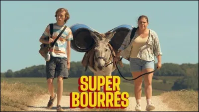 Le Blavet, 109 km, est un fleuve breton qui pique droit sur l'Atlantique dans la rade de Lorient. Canalisé sur 60 km sur décision de Napoléon 1er, il rattrape 54 m de dénivelé par 39 écluses, d'où sort-il de terre ?