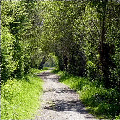 Le Lay, 19 km, est le cours d'eau le plus important de la Vendée, plus que la Vendée qui a donné son nom. Le Petit Lay prend sa source à Saint-Michel-Mont-Mercure (altitude : 200 m) et le Grand Lay prend sa source à l'altitude de 190 m, sur quelle commune ?