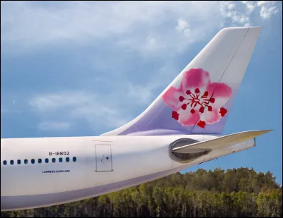 Quelle est cette compagnie aérienne ?