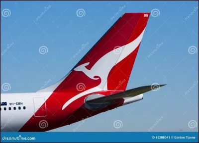 Quelle est cette compagnie aérienne ?