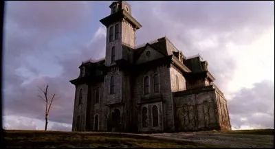 Une comédie sombre et horrifique sort au cinéma, elle suit les aventures délirantes de Gomez et Morticia. Quel est son titre ?