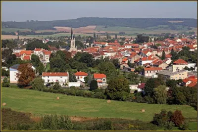 Quelle est cette petite ville de 2 200 habitants, ancienne sous-préfecture, située dans le Saulnois, au sud du plateau Lorrain ?
