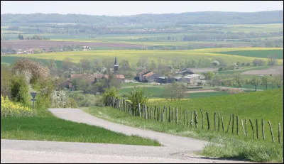 Quelle est cette région naturelle rurale du sud de la Moselle, depuis longtemps région de l'exploitation du sel ?
