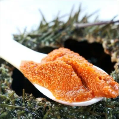 Quel animal marin, dont on mange les gonades sous le nom de corail, est aussi appel&eacute; &eacute;chinide ?