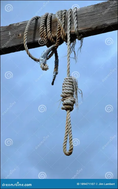 Parmi les amis de Tris, qui s'est suicidé ?