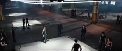 Comment s'appellent les instructeurs à l'initiation des Audacieux ?