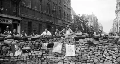 "Que l'on touche à la liberté et Paris se met en colère et Paris commence à gronder et le lendemain, c'est la guerre ... Il faut voir les pavés sauter quand Paris se met en colère faut les voir, ces fusils rouillés qui clignent de l'oeil aux fenêtres ..." : qui chante "Paris en colère" ?