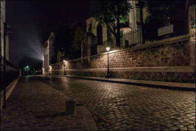 "Paname on t'a chanté sur tous les tons y'a plein d' parol's dans tes chansons qui parl'nt de qui de quoi d' quoi donc Paname moi c'est tes yeux moi c'est ta peau que je veux baiser comme il faut comm' sav'nt baiser les gigolos Paname ce soir j'ai envie de danser, de danser avec tes pavés que l' monde regarde avec ses pieds ..." : qui chante "Paname" ?