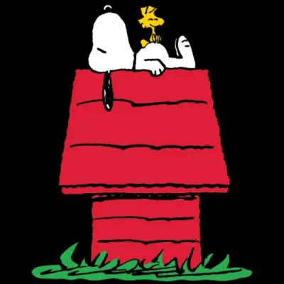 C'est un chien qui aime s'allonger sur le toit de sa niche.