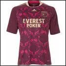 Quelle quipe possde ce maillot ?