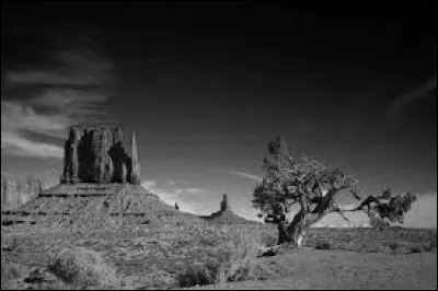 En quelle année l'Association pour le droit de mourir dans la dignité a-t-elle été créée ?