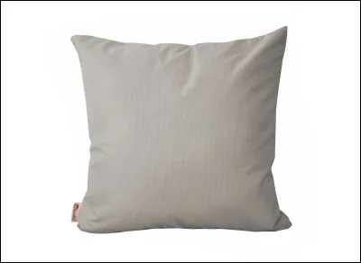 Quel serait ton objet pr&eacute;f&eacute;r&eacute; pour dormir ?