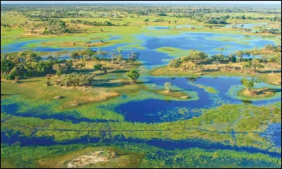 Le delta de l'Okavango et ses plaines inondées, havre de paix pour la faune africaine et lieu de safaris, est aussi une merveille de la nature. Dans quel pays peut-on voir cela ?