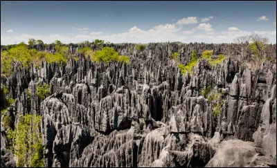 Tsingy de Bemaraha et ses formations rocheuses à l'allure unique au monde en font un site classé. Ces "cathédrales de calcaire" méritent d'être plus connues. Dans quel pays peut-on voir cette dernière merveille ?