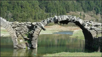 Le Tarn, 380 km, prend sa source sur le mont Lozère et se jette dans la Garonne à Saint-Nicolas-de-la-Grave, en Tarn-et-Garonne. Où émerge-t-il ?