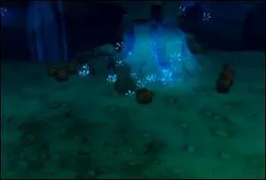 Quel est le nom de cette zone ?