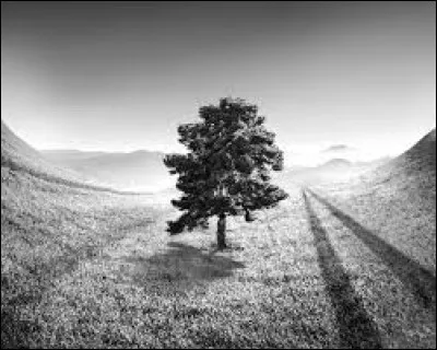 Laquelle de ces pratiques est interdite en Suisse en 2024 ?