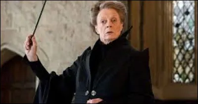 Pour quelle raison a-t-elle cessé de jouer au Quidditch ?