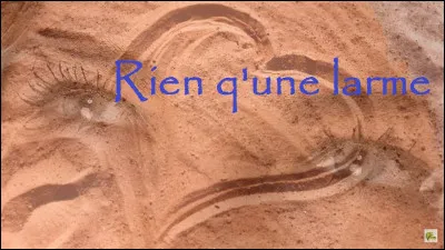 À qui doit-on la chanson "Rien qu'une larme dans tes yeux" ?
