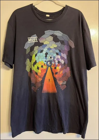 Quel groupe britannique chante "Resistance" ?