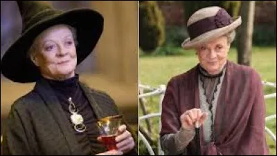 Quel balai permet-elle à Harry Potter d'obtenir en première année ?