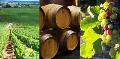 Lequel de ces pays n'est pas un pays viticole ?