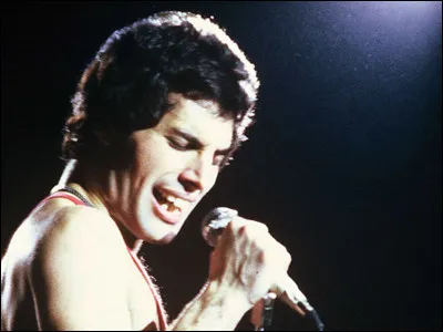 Comment s'appelle le chanteur mythique du groupe ?