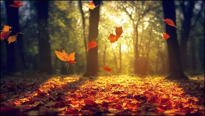 Quelle f&ecirc;te ne se d&eacute;roule pas en automne ?