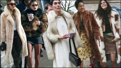 Dans un célèbre film d'animation Disney, je me fais kidnapper par une femme cruelle qui souhaite se faire un manteau en fourrure. Je suis...