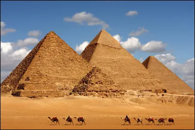 Dans l'Égypte antique, je suis fortement vénéré et associé à la déesse Bastet, symbole de fertilité et de la chaleur du foyer. Je suis...